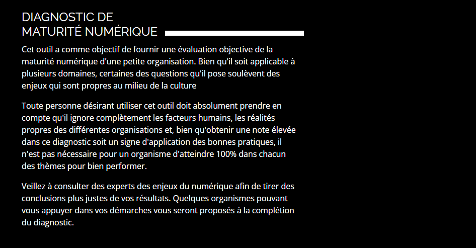 Capture d'écran de l'introduction au diagnostic numérique développé par le RADN et diffusé par le 0/1 Hub numérique de l'Estrie 